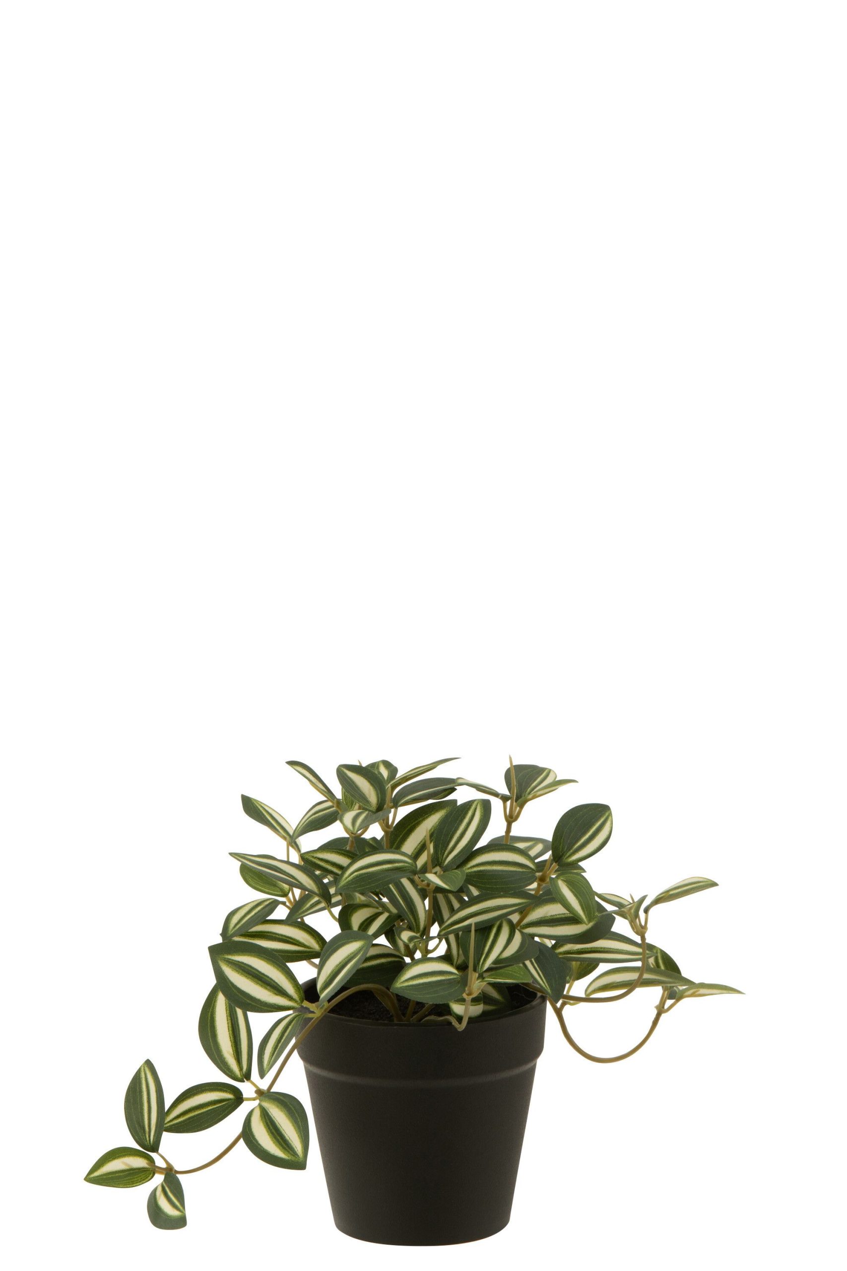 Tradescantia en pot artificiel vert/blanc