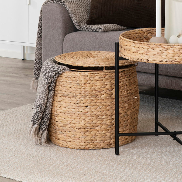 Delia Table d'appoint en jacinthe d'eau avec rangement