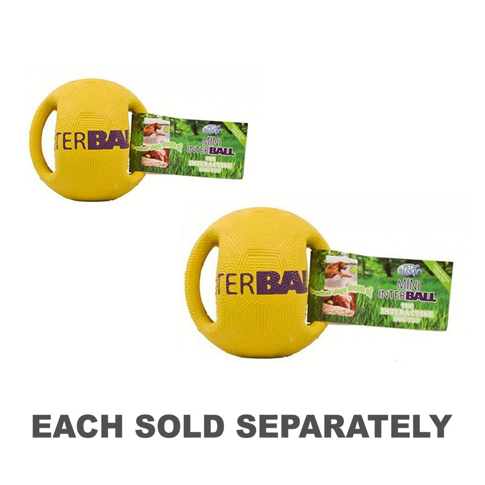 Marques d'animaux de compagnie Interball Interactive Dog Toy