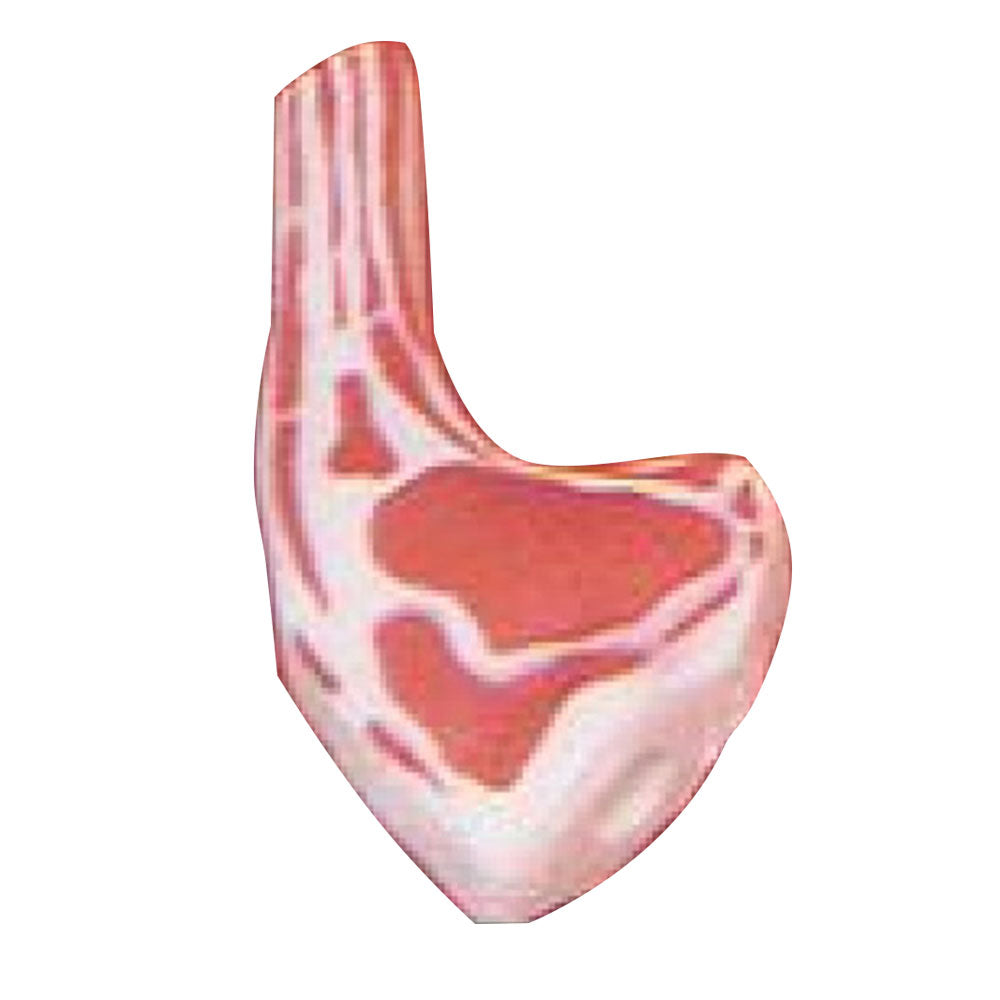 Elite Pet Steaky Porkchop Dog Toy