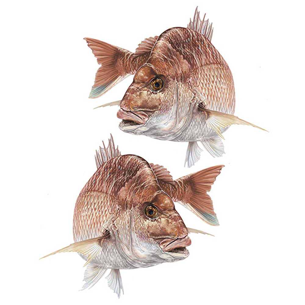 Slonge à double bateau Sticka (petit)