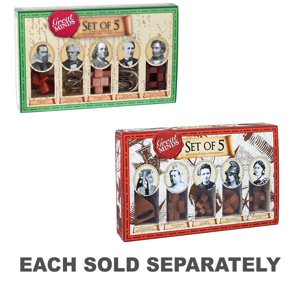 Great Minds Wood & Metal Breenaser Puzzle 5pcs