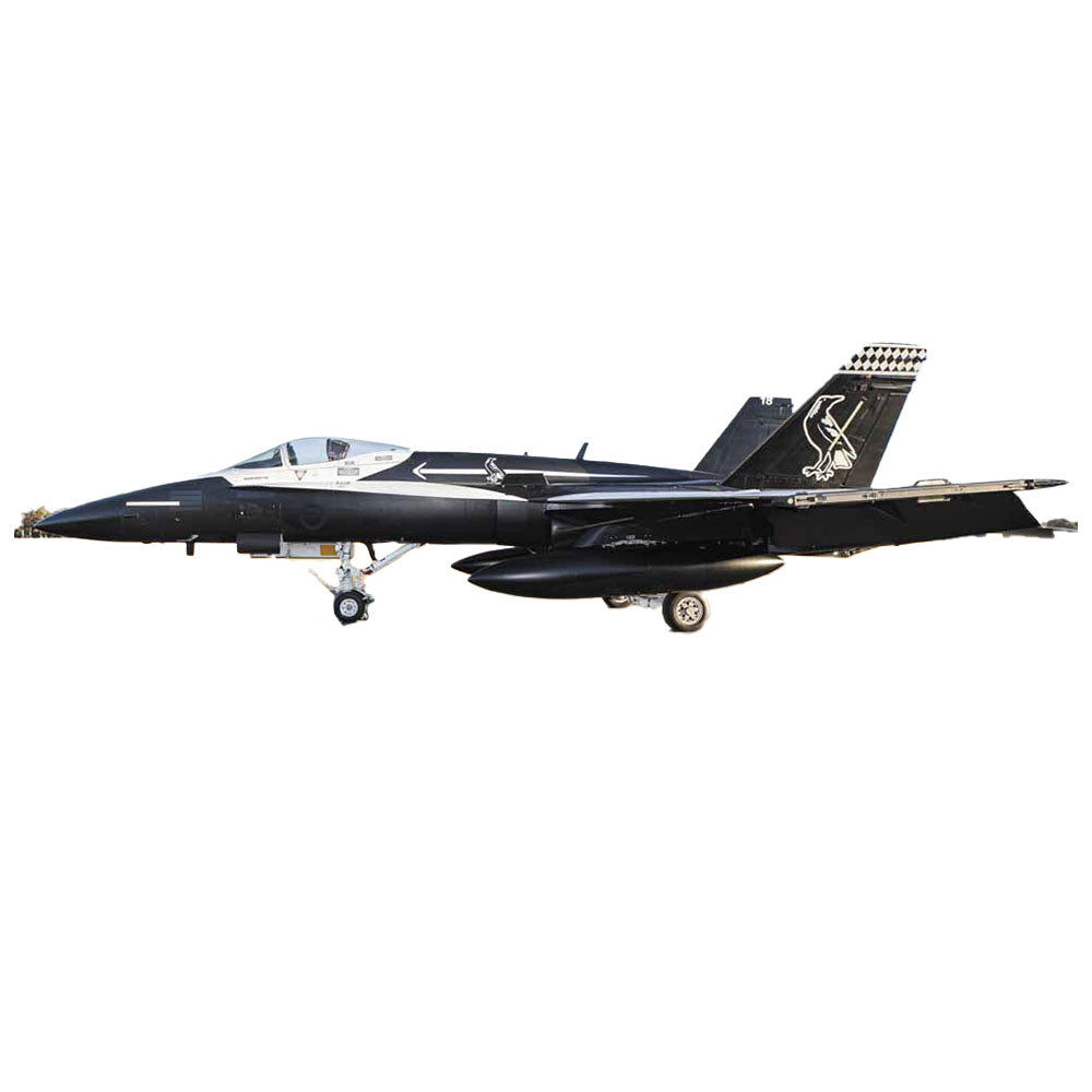 Hasegawa Hornet Raff Special Painting 1/72 Modèle à l'échelle