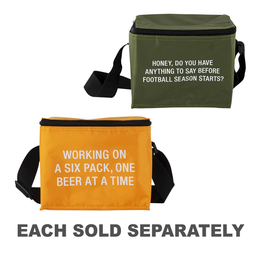 Dire quel petit sac de glacière