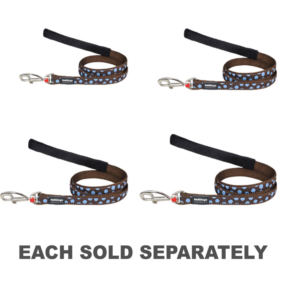 Plais de chien avec des taches bleues sur marron