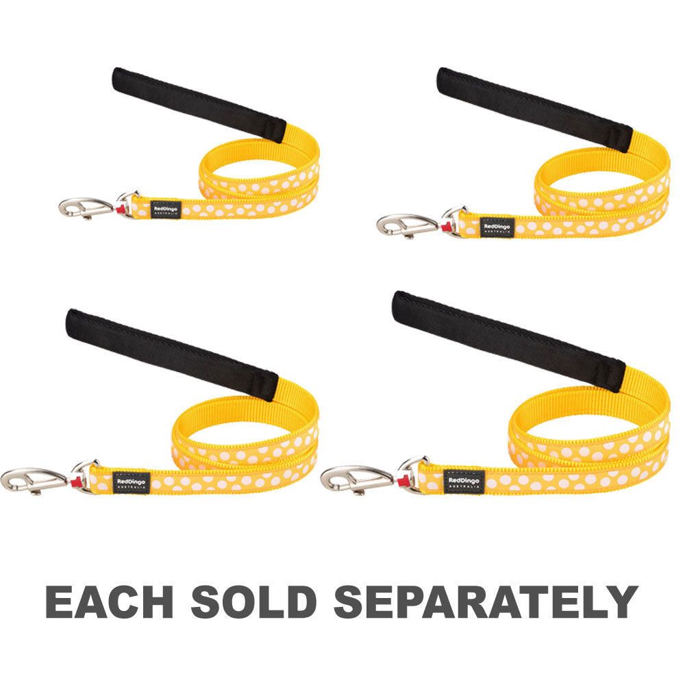 Plais de chien avec des taches blanches sur le jaune