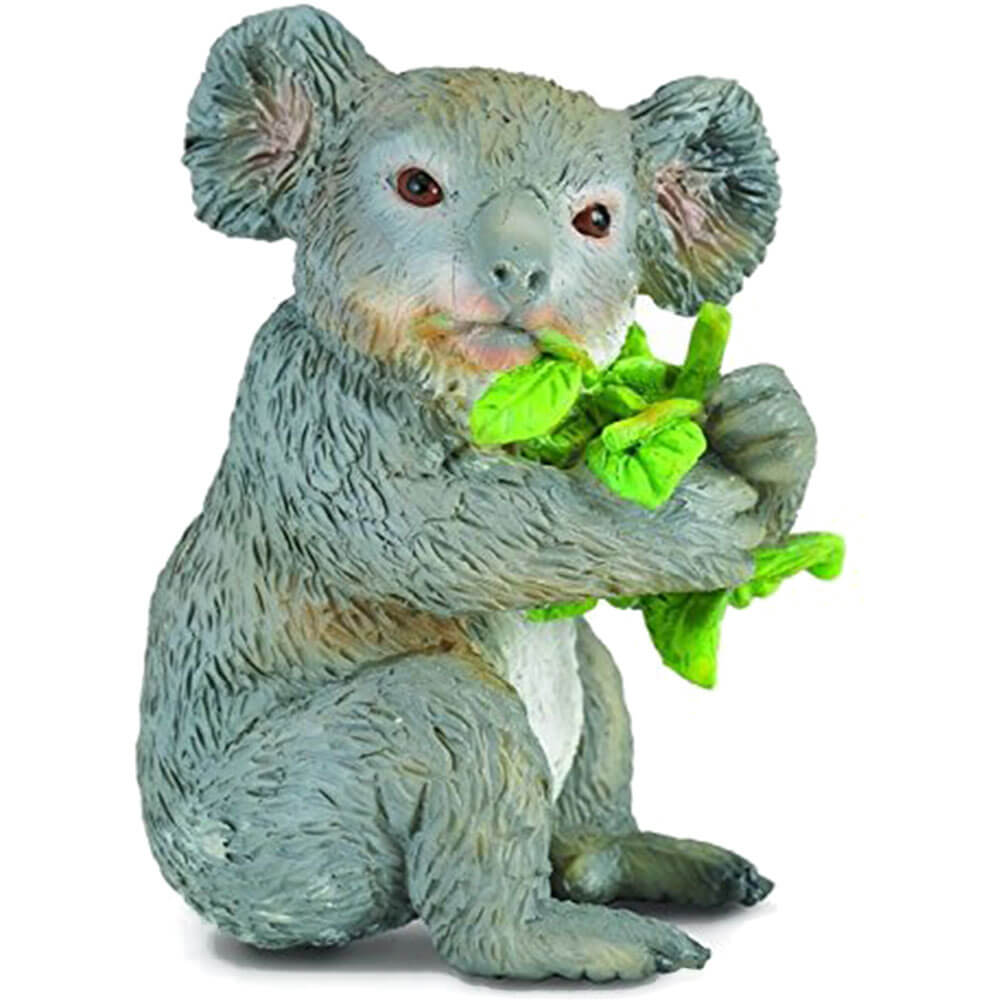 Collectionneur koala mangeant de la figurine (milieu)