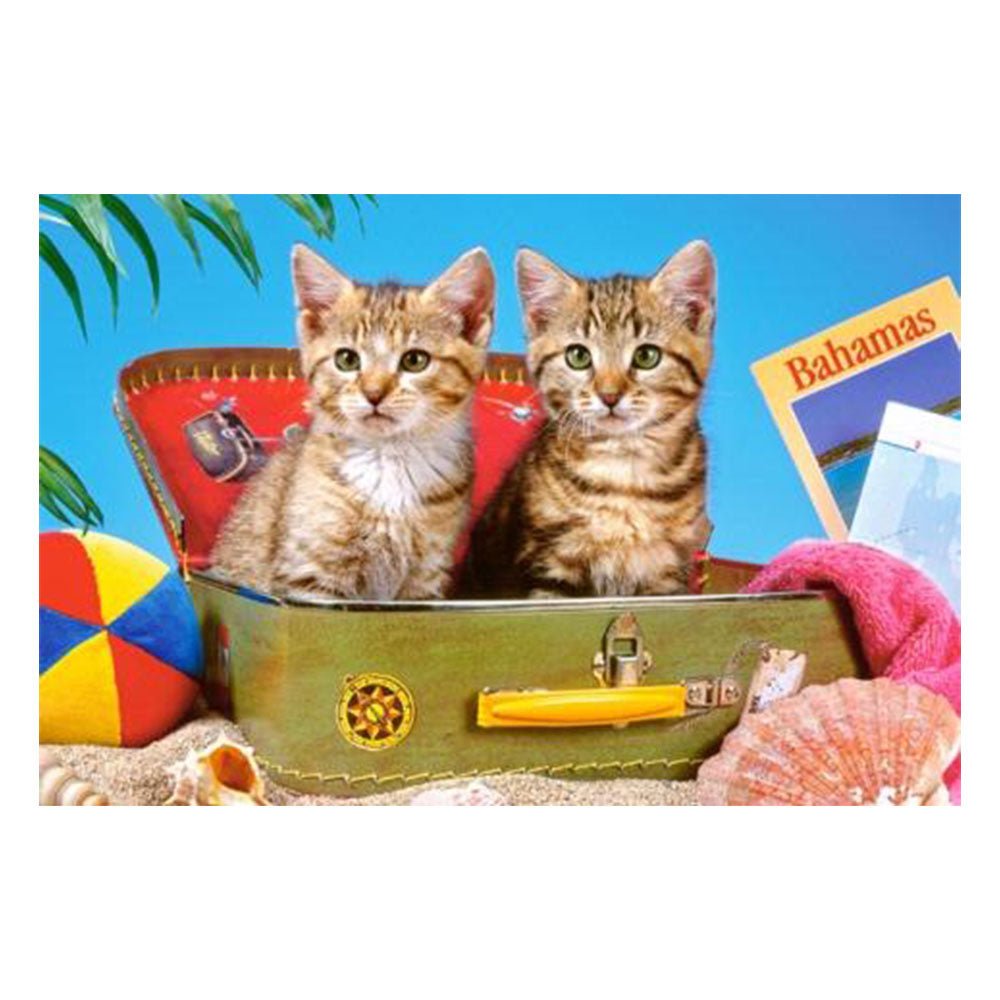 Castorland Cat Touristes Puzzle 108pcs