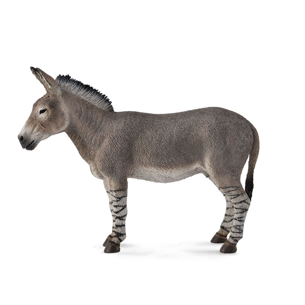 Collecta African Wild Ass Figure (GRAND)