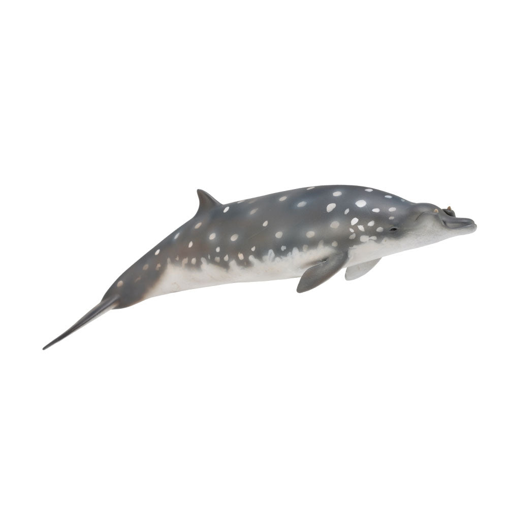 Collecta Blainvilles à bec baleine (grand)