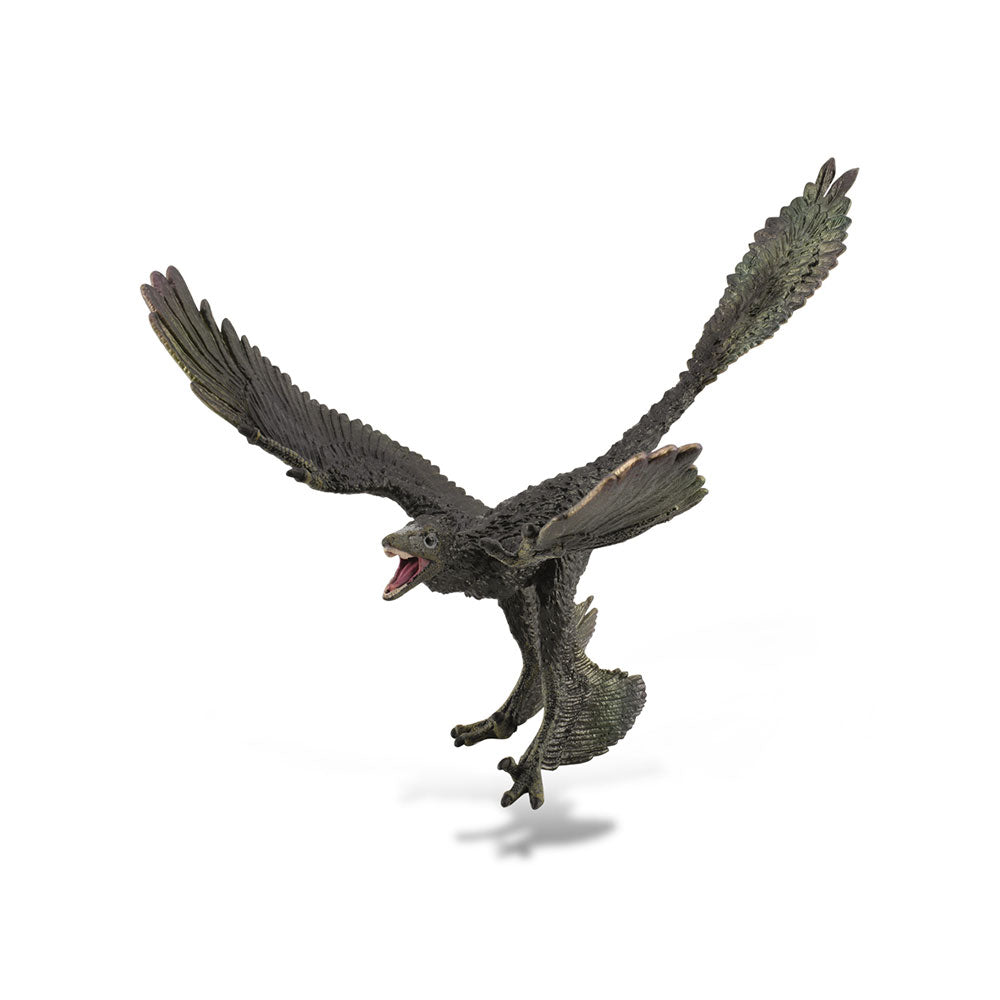 COLLECTA Microraptor Figure (Extra Large)