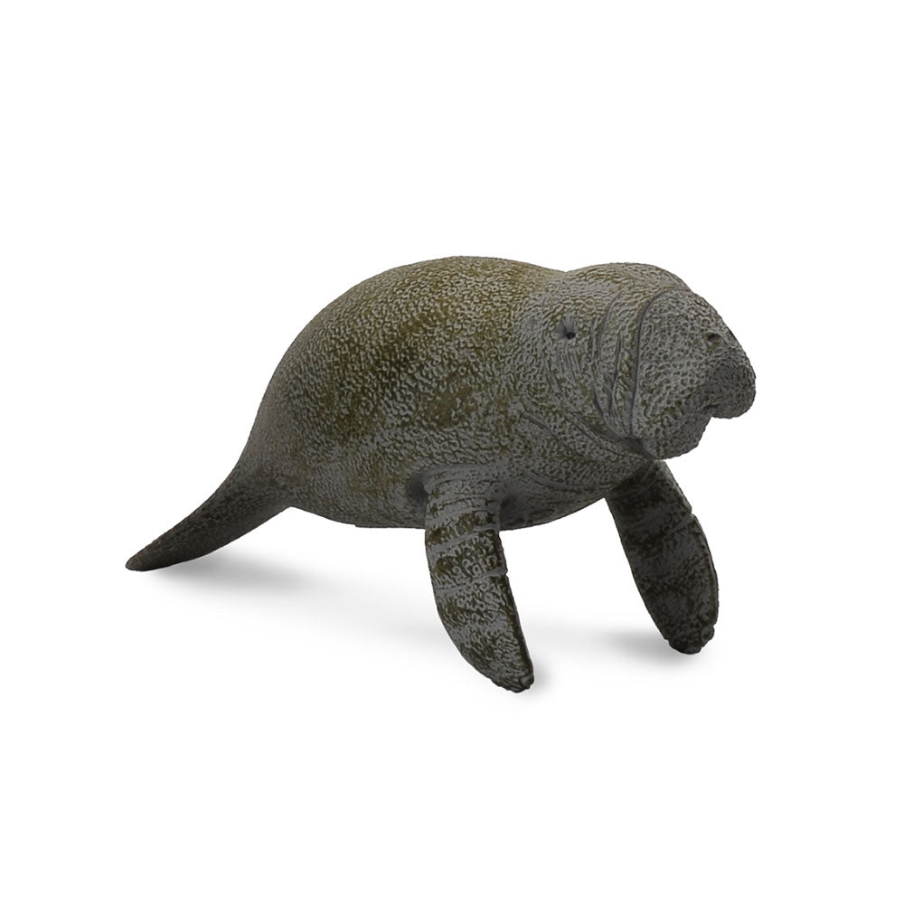 COLLECTA NABINAGE MANATEE Figure (moyen)