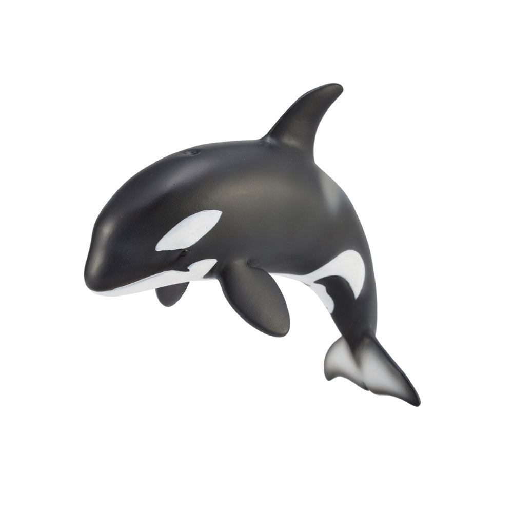 Figure de veau Orca Collecta (moyen)