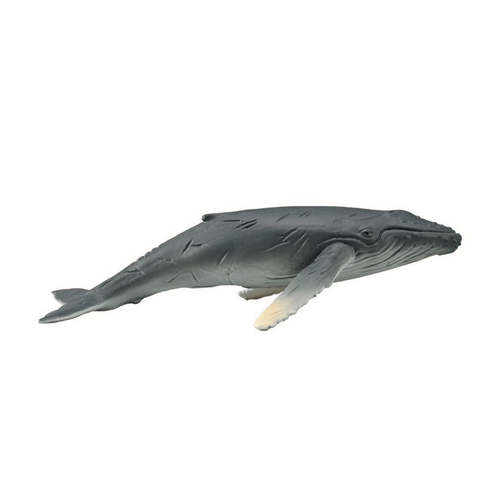 COLLECTA Figure du veau de baleines à bosse (milieu)