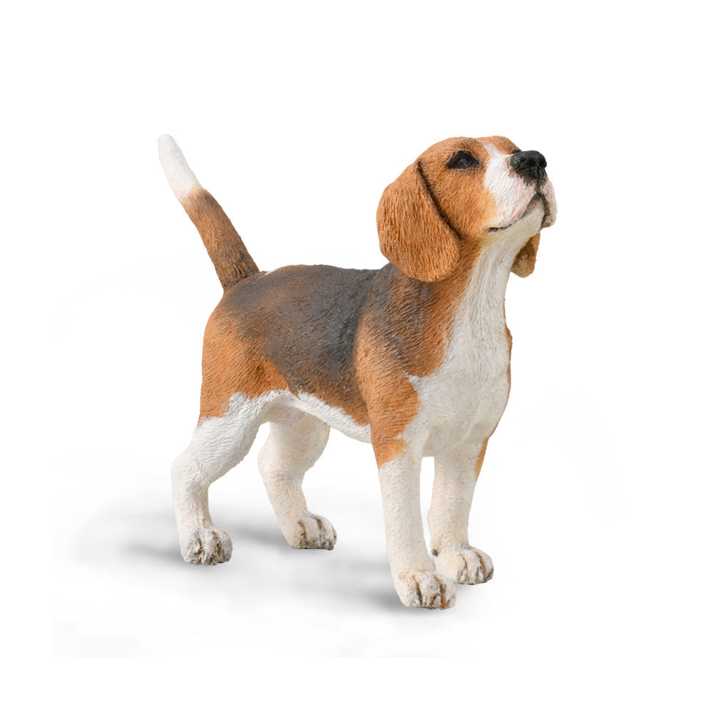 Collecta Beagle Figure (médium)