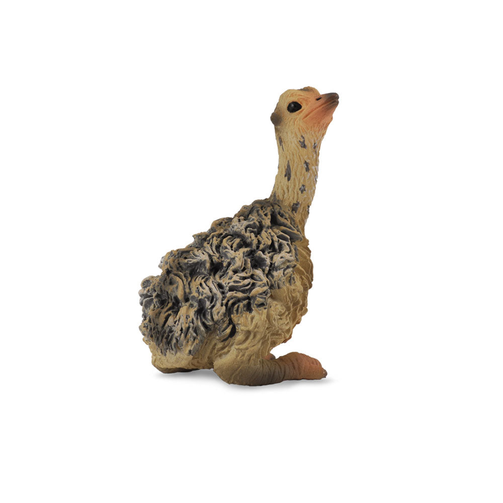 Collecta Assis Autruch Chick Figure (Small)