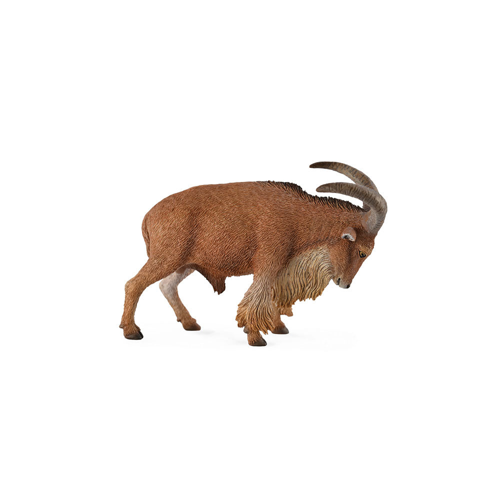 Collecta Barbary Sheep Figure (grand)