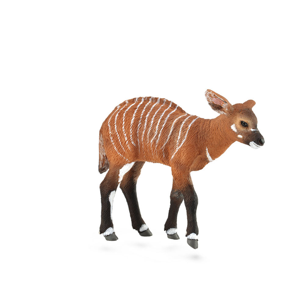 COLLECTA BONGO CALF FIGURE (Medium)