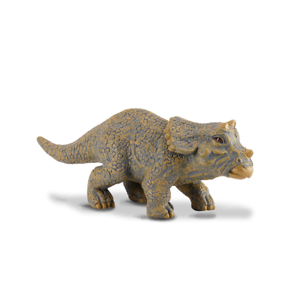 Collecta Baby Triceratops Dinosaur Figure (Small)