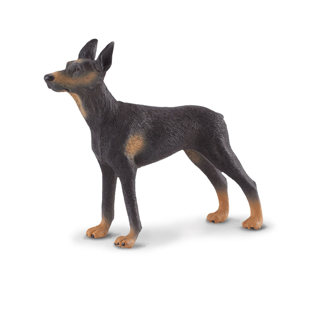 Collecta Doberman Pinscher Figure (grand)