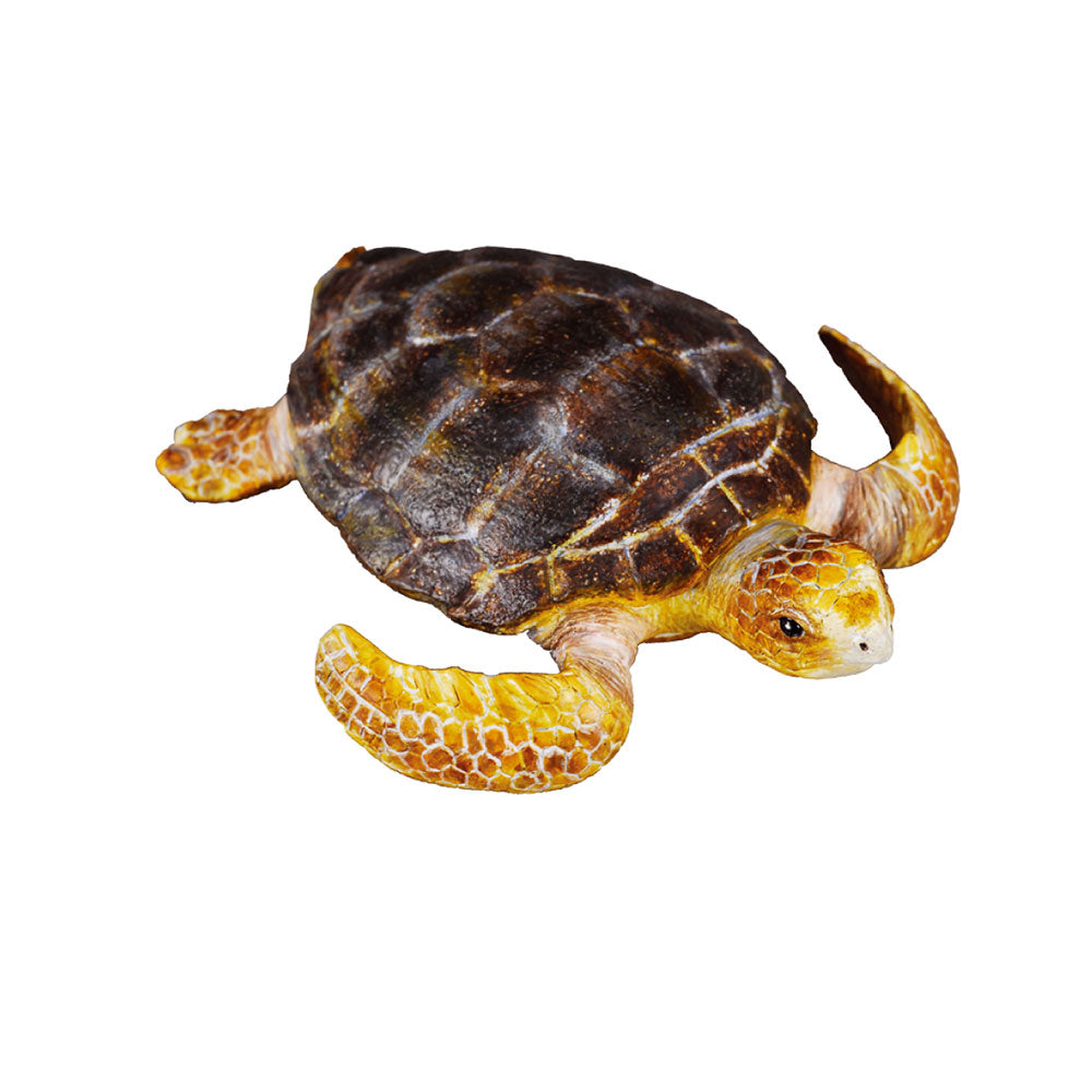 COLLECTA Loggerhead Turtle Figure (milieu)