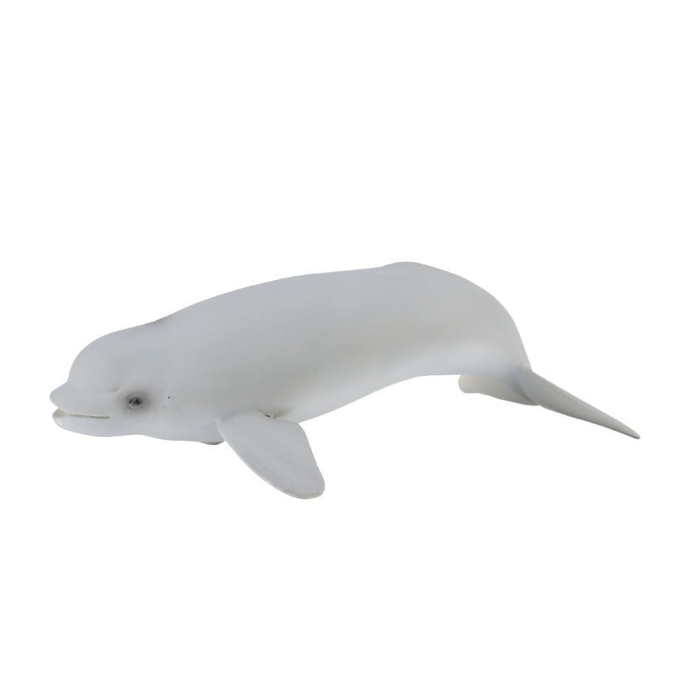 COLLECTA BELUGA WHALE COULF FIGURE (Moyen)