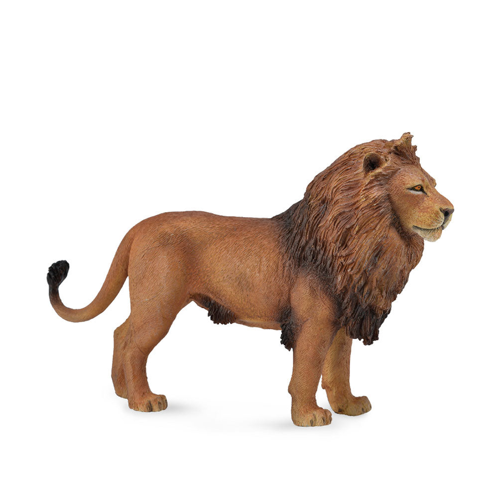 Figure de lion africain Collecta (grand)