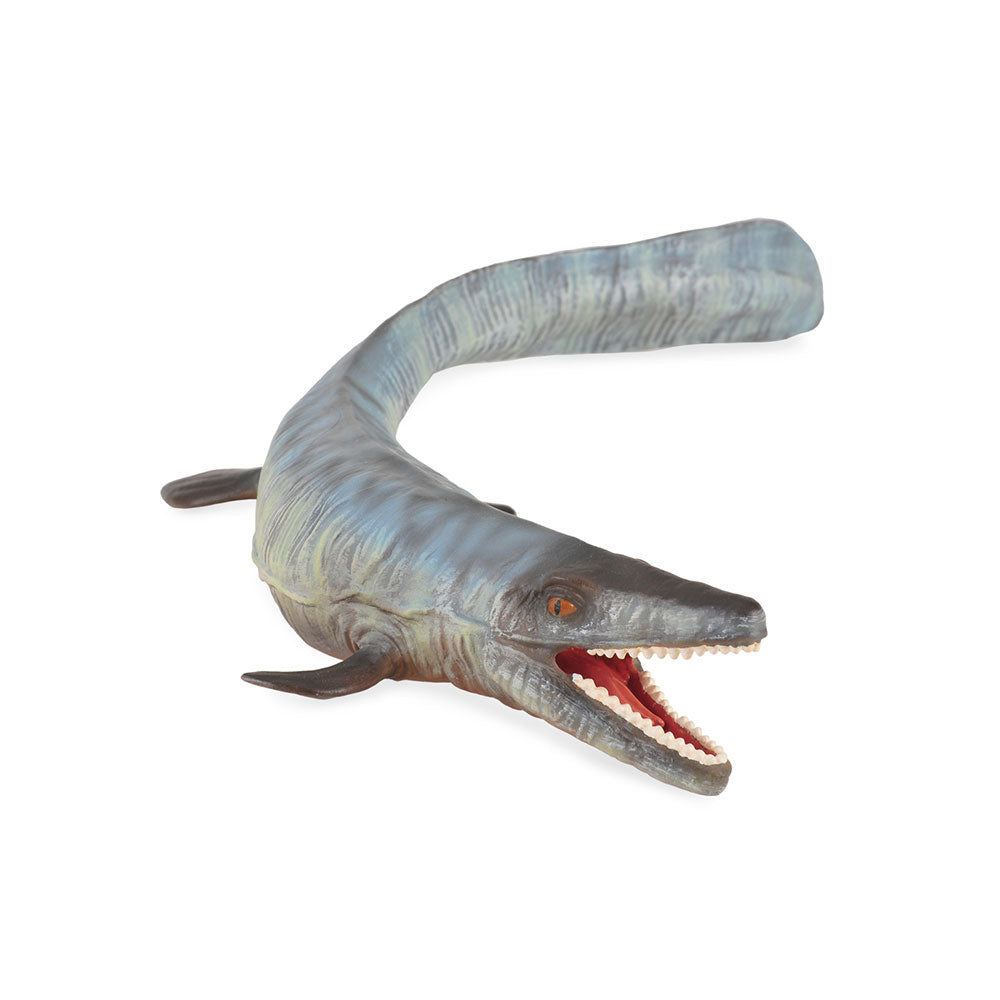 Figure de Tylosaurus Collecta (extra grande)