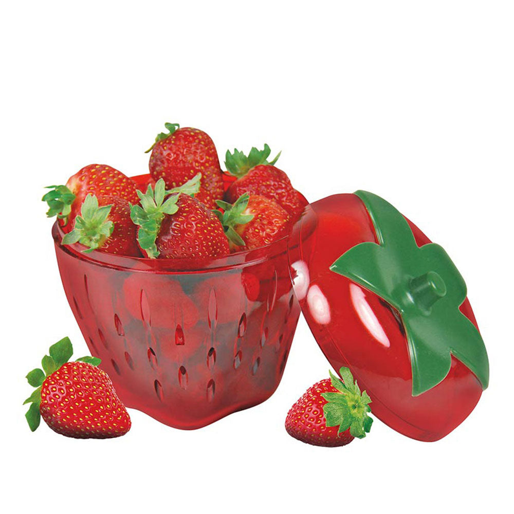 Récipient de rangement Avanti StrawBerry Saver