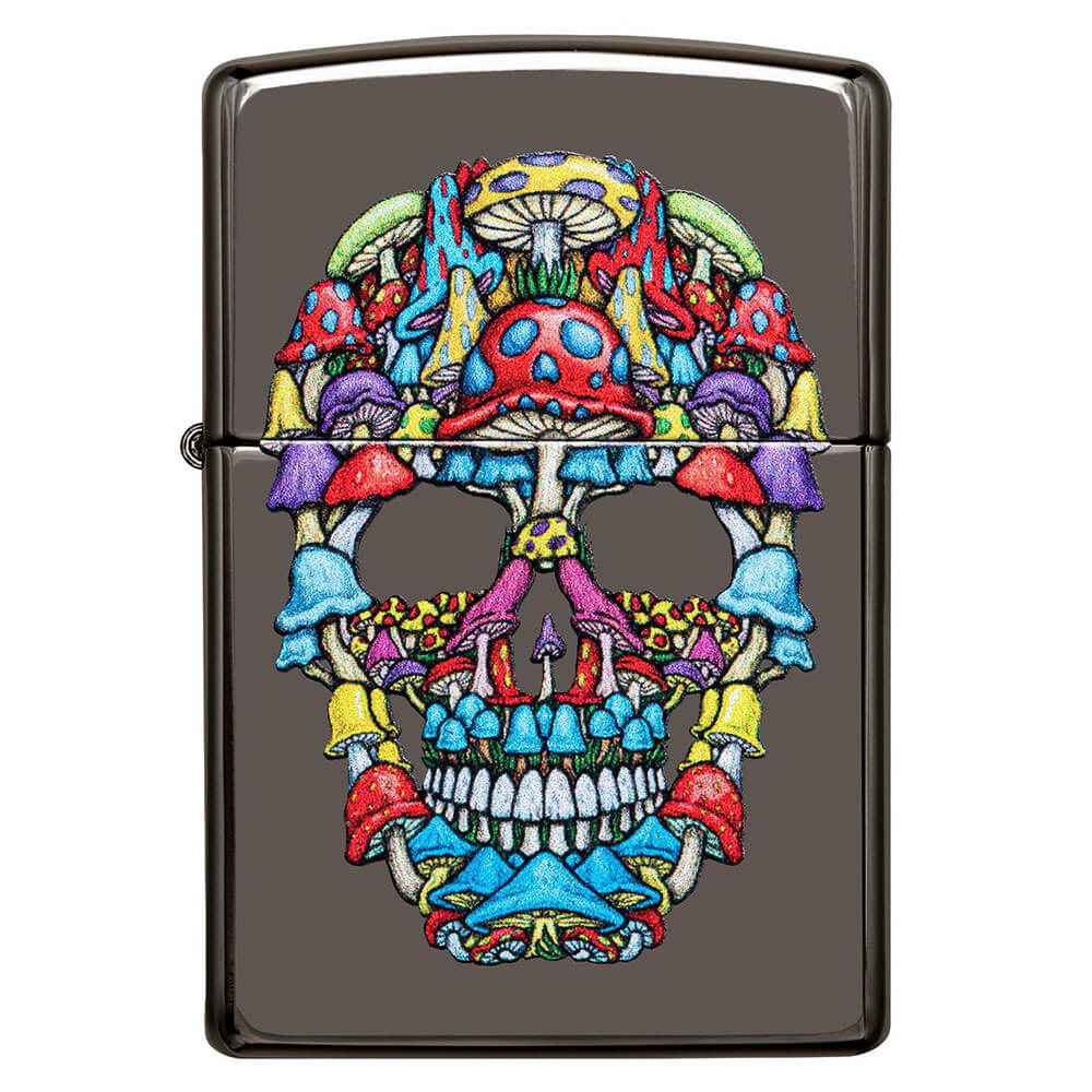 Brique du crâne de couleur glace de zippo
