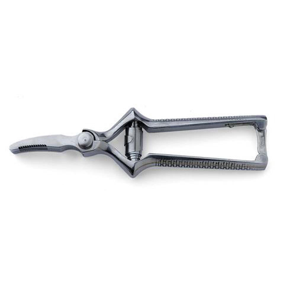 La viande hache de cisaillement en acier inoxydable lames 18 cm