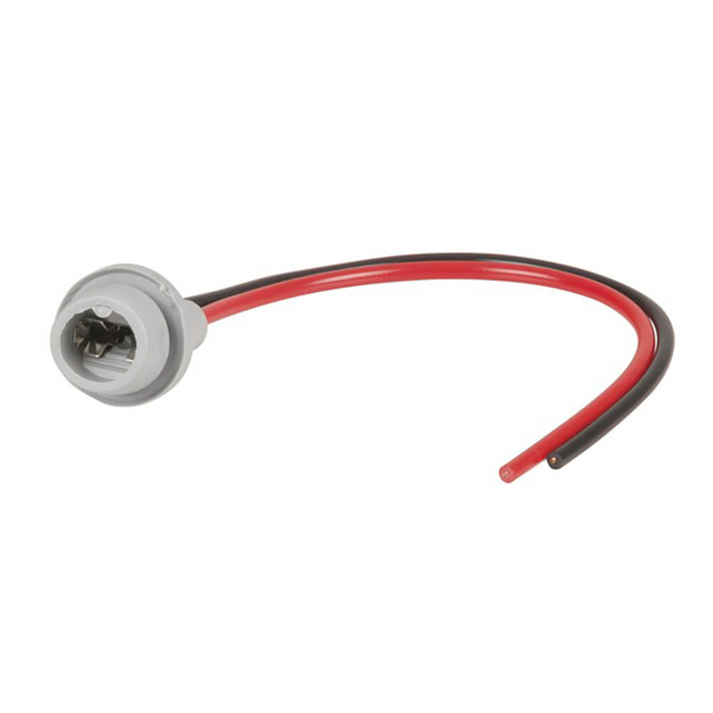 T10 socket de globe de coin