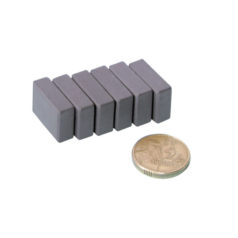 Aimants de ferrite 6pcs (20x15x5 mm)