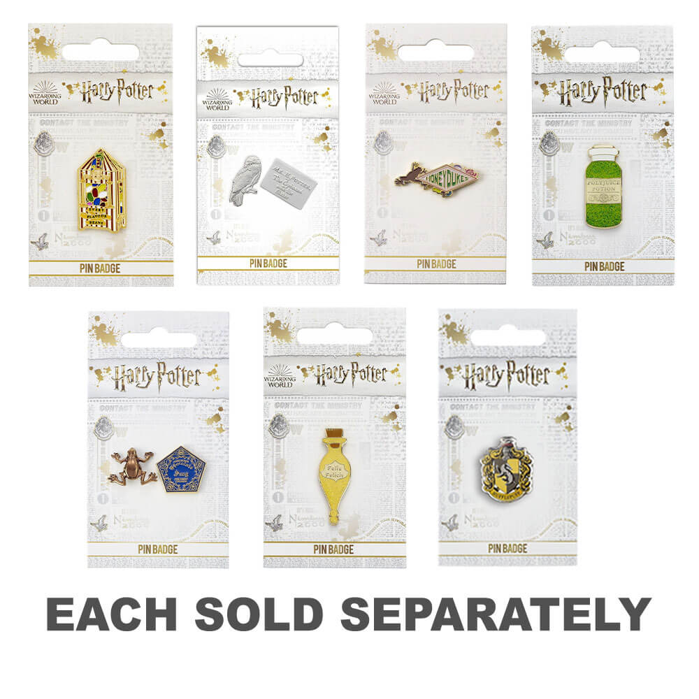 Badge d'épingle Harry Potter