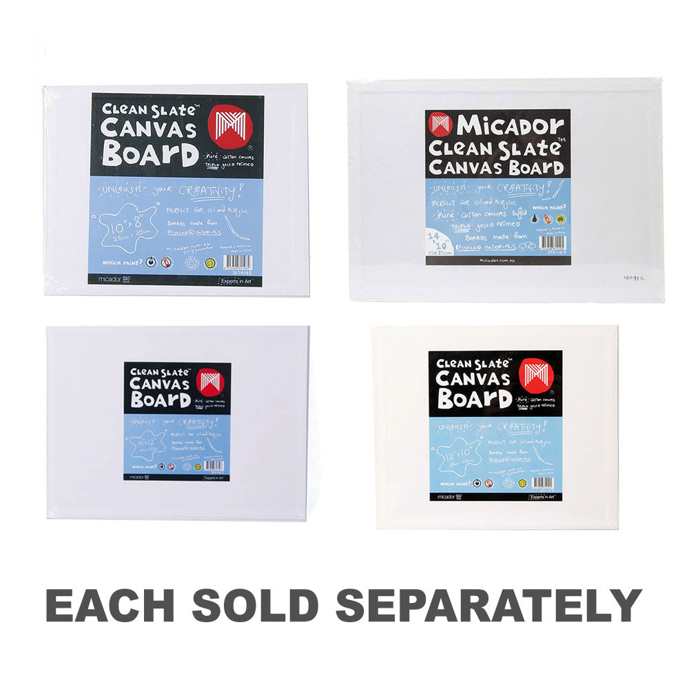 Carte de toile à ardoise Clean Micador