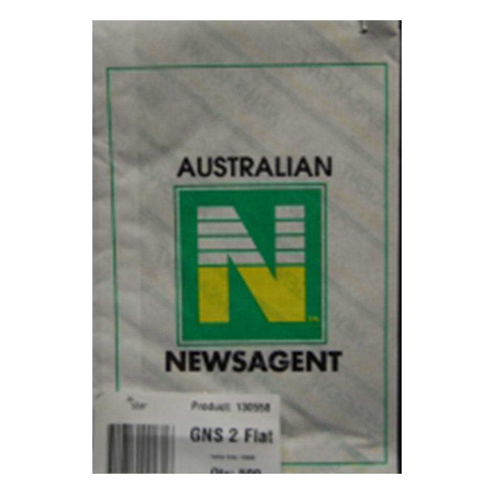Bag du papier n ° 2 de News 500pk (165x240 mm)