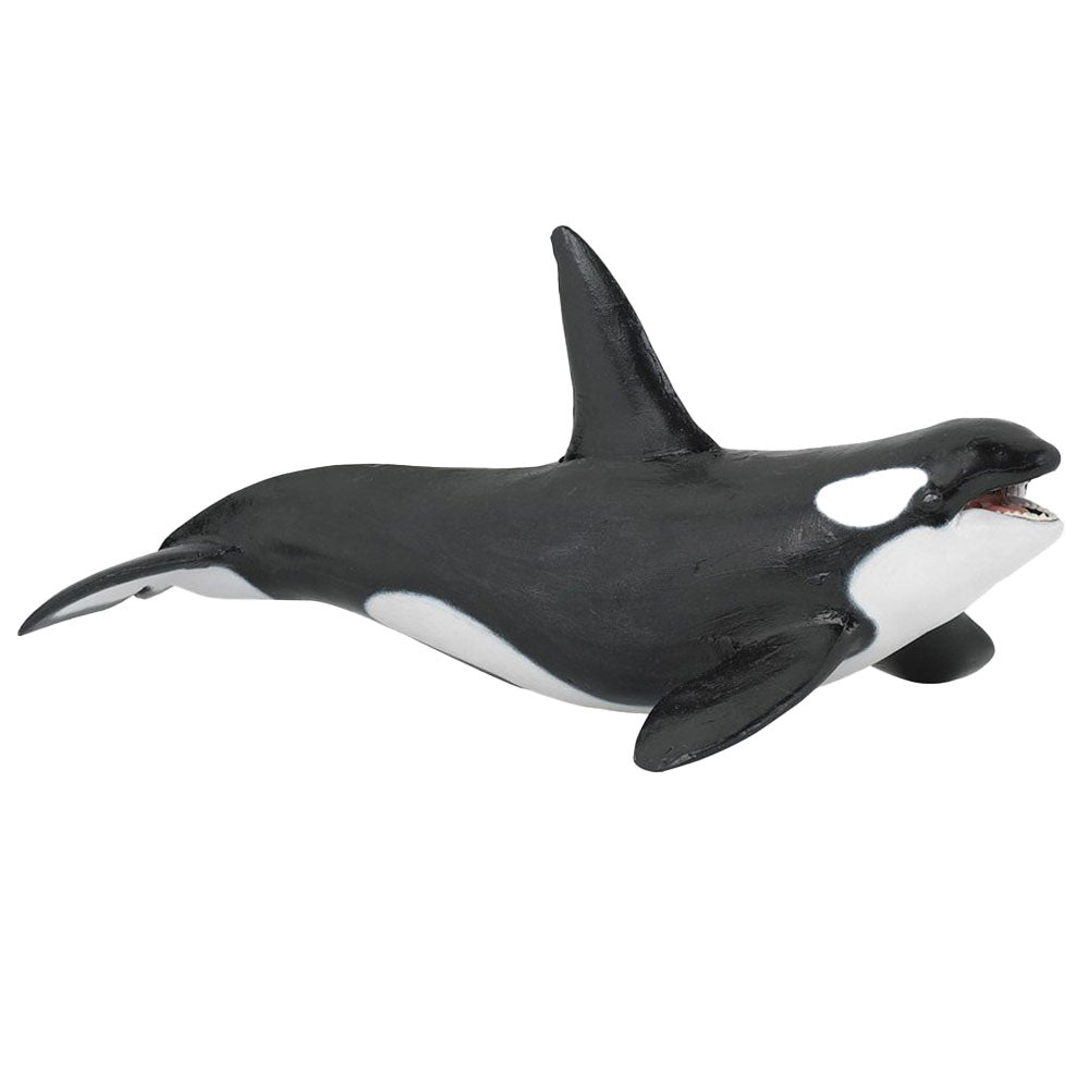 Figurine de baleine pour tueurs